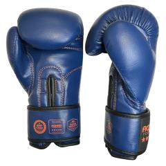 Osta Fighter Forever EVO Kids Boxing gloves Total Shopista
