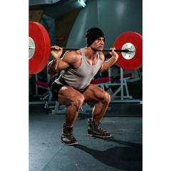 Osta Gymstick Levytanko Premium 20kg Total Shopista