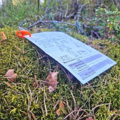 Osta Total Gear- Tactical TCCC Card TSTEA Potilaskortti Total Shopista
